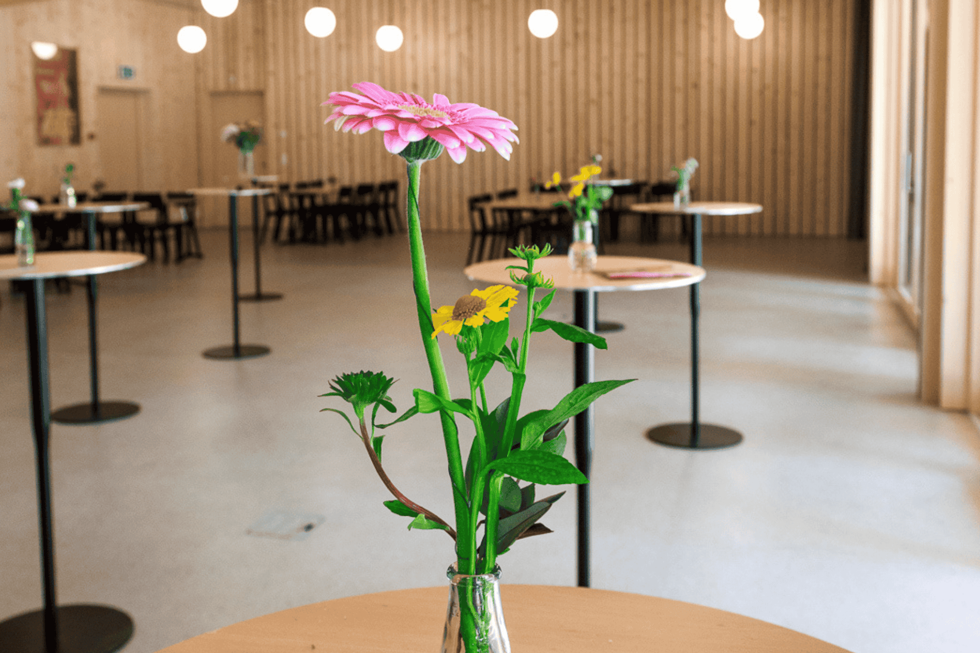 Gros plan sur un vase de fleurs au sein du pavillon du Théâtre du Jorat